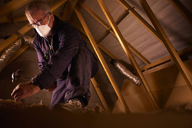 Best Insulation Contractors for Homes  in Edgefield, SC