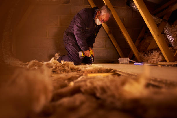 Best Cellulose Insulation  in Edgefield, SC